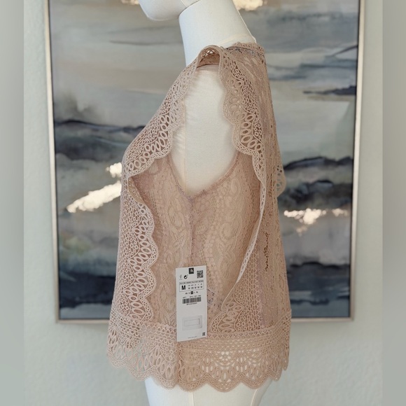 NWT Zara Lace Ruffle Blouse - Blush Pink - Picture 5 of 16